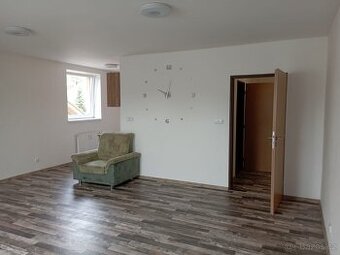 Pronajmu byt 1+1, Stará Paka