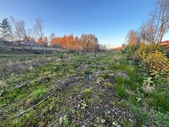 Prodej, pozemek 4200m2