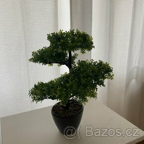 Umělá bonsai - 1