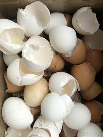 Skořápky vajec drcené 5 kg