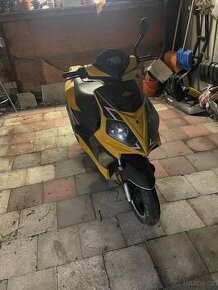 Rhon speed 50 2t