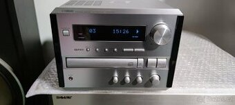 YAMAHA CRX E150