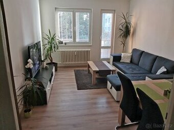 Pronájem bytu 2+1