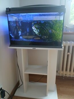 Akvarium