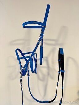 Bezudidlová uzdečka s otěžemi
