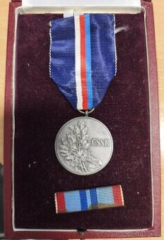 Stříbrná medaile za statečnost