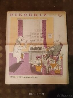 Prodám Dikobrazy - 1