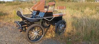 Bryčka kočár vagoneta maraton koňský povoz