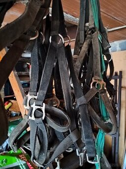 Ohlavka, postroj, sedla, uvazky