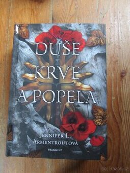 Duše krve a popela - Jennifer L. Armentrout