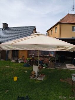 Slunečník