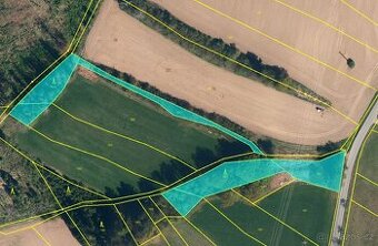 Lesní pozemek k.ú. Vyskytná 4.203m2