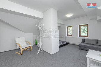 Prodej hotelu penzionu, 386 m², Rokytnice v Orlických horách