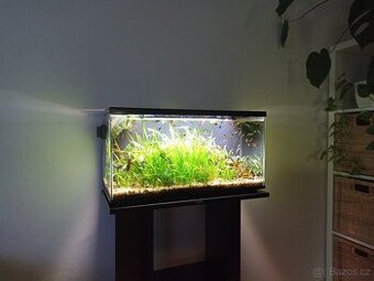 Akvárium+stolek+Led wrgb trubice