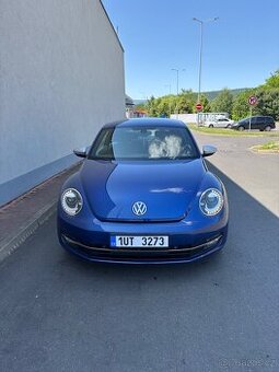 New beetle