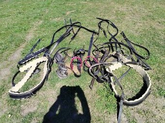 Prodám tažné postroje na koně