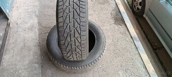 Pneu 205/60/16 Zimní Riken