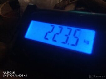 Prodám vykrmené prase