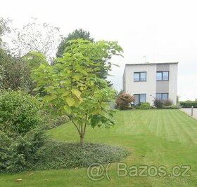 Prodej rodinného domu s  pozemkem 1 724 m²