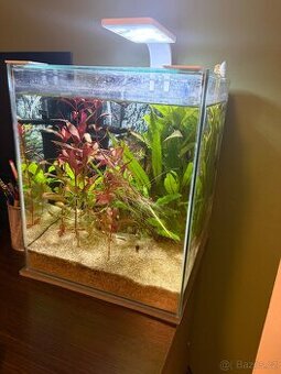 Akvarijni set 30 litru