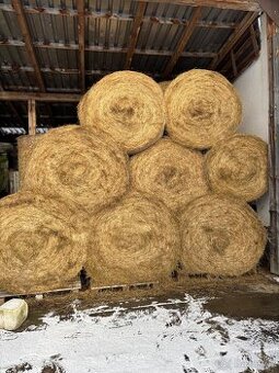 Prodám balíky sena 130