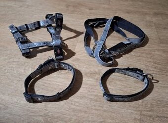 Set pro psa, štěně, obojky, přepínací vodítko,postroj Trixie