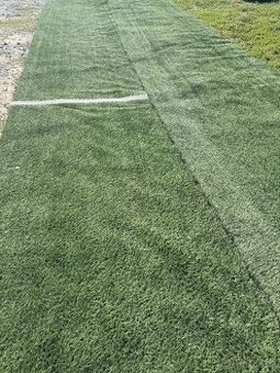 Umělá tráva, koberec