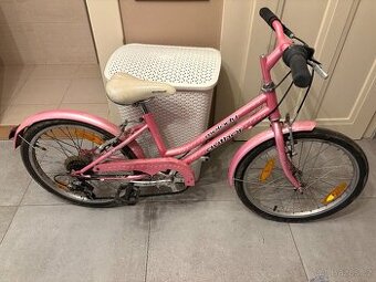 Dívčí městské kolo 20 Author