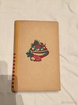 Ze Santos do Bahie - Hakon Mielche