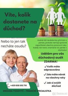 Důchodový audit ZDARMA
