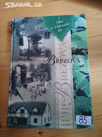 Březová - brána do Slavkovského lesa