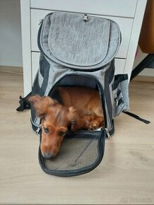 Batoh pro pejska/kočku do 3 kg