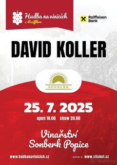 David Koller_Hudba na Vinicích Sonberk