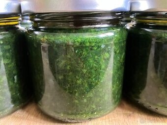 Domácí pesto z medvědího česneku