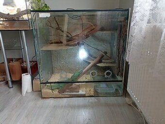 Terarium