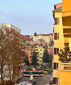 OV 2+1, ul. Leitnerova, Staré Brno