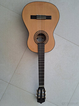 Klasická kytara Santos Martinez SM12