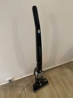 Tyčový vysavač Electrolux ergorapido