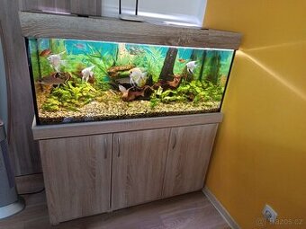 Prodám komplet akvárium 300l