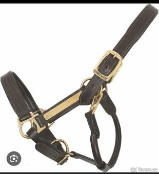 Ohlavka horseware