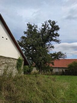 Shání se zahradník