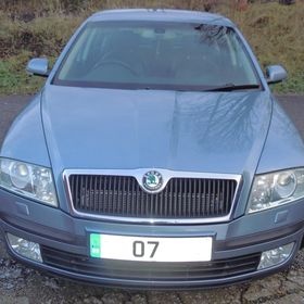 Škoda Octavia II 2,0 TDI 103 kW Laurin & Klement