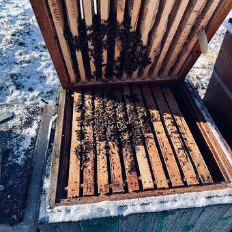 Vyzimovaný oddělek