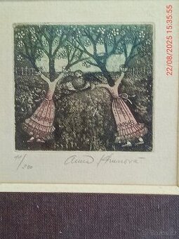 Grafika Anna Khunová.