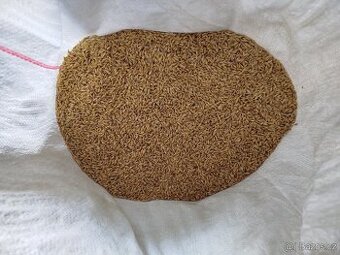 Ječmen krmný pytlovaný