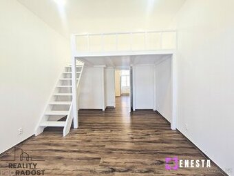 Pronajmu 1+1 o výměře 46 m² v Boleslavově ulici v Praze 4 - 