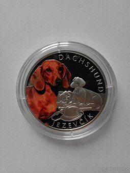 Stříbrná mince ze série Psí plemena - Jezevčík