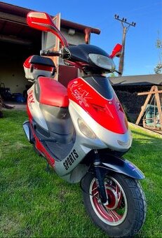 Motocykl Kingway Coliber Rex 50