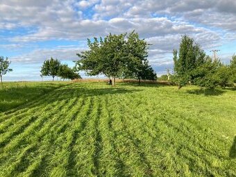 Krásná slunná Zahrada 600m2 -Vlčnov - Jizda kralů