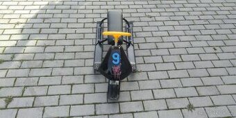 Skibob - 1